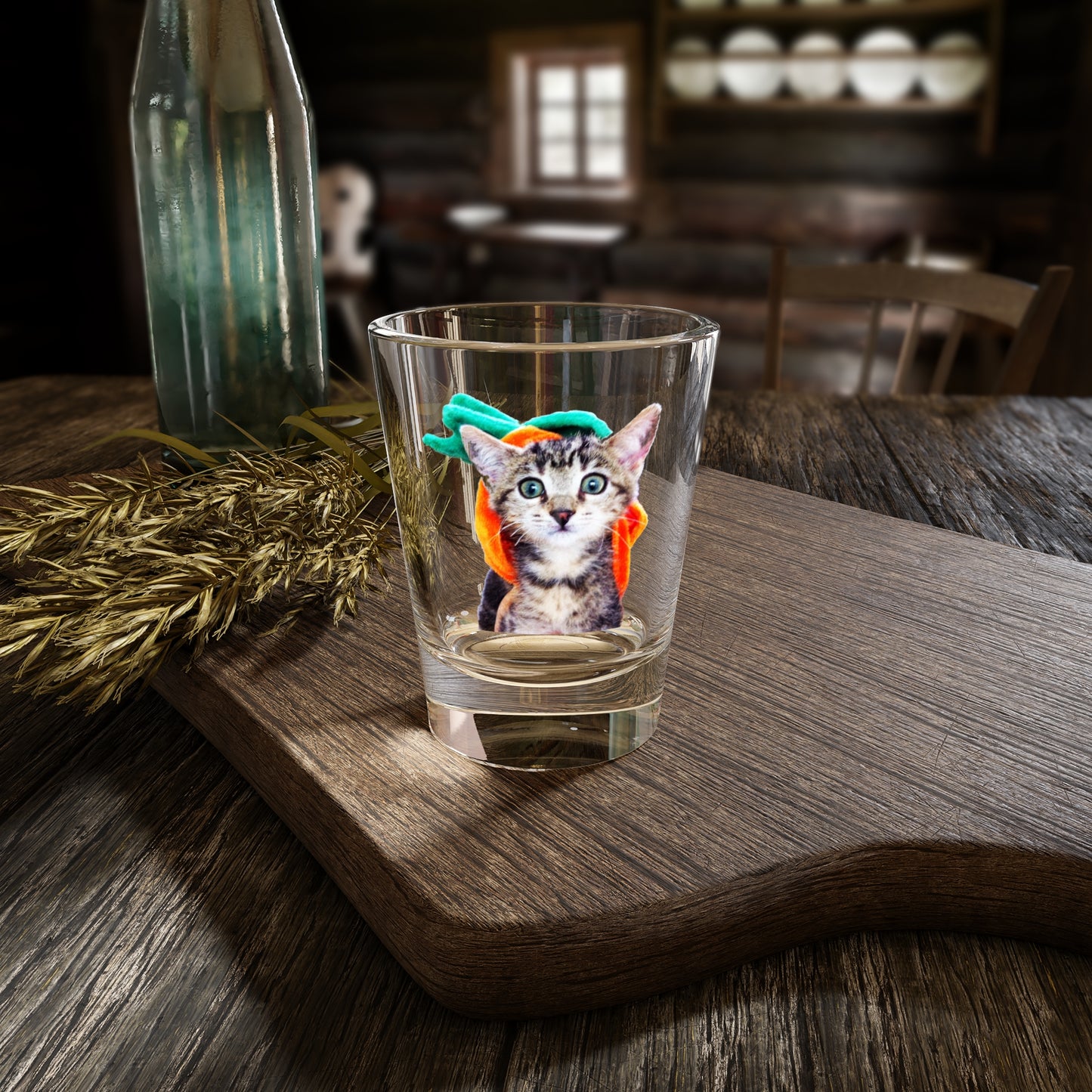 Limited Edition! Pumpkin Head Kitten – Shot Glass