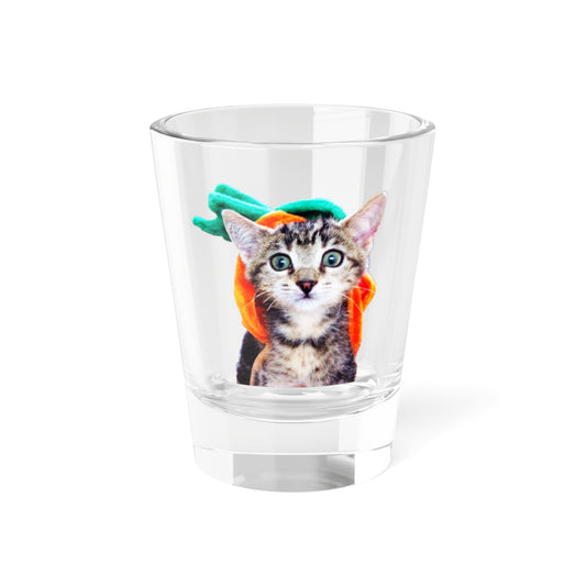 Limited Edition! Pumpkin Head Kitten – Shot Glass