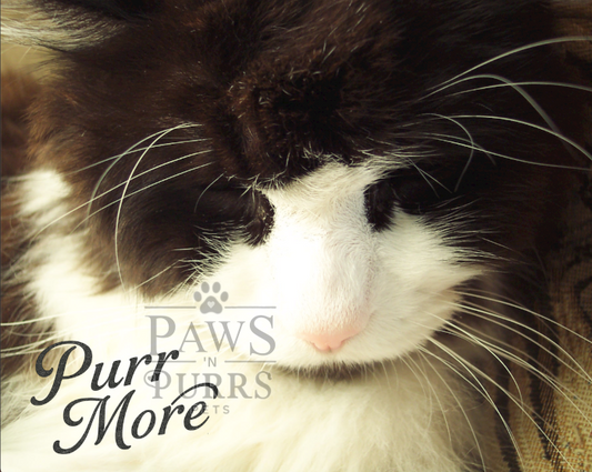 Cat Lovers Digital Download - Photo & Calligraphy Word Art Set (10 Images)