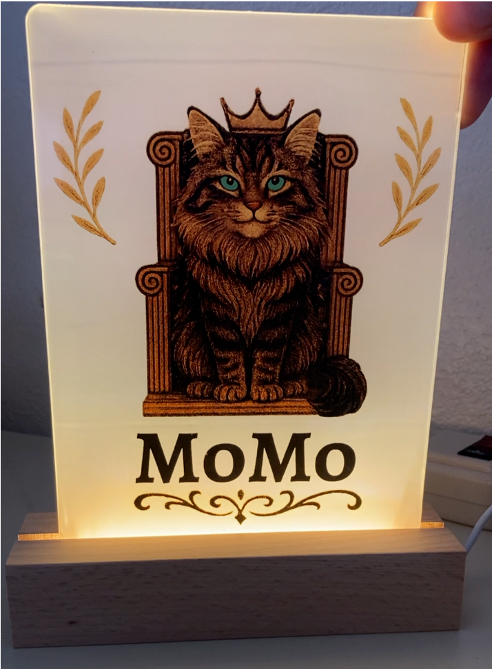 Personalized Pet Photo Nightlight