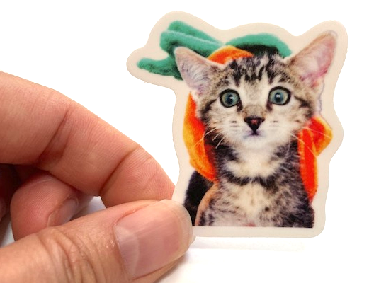 Mini 2" Pumpkin Head Kitten – Paws 'N Purrs Mascot Dawn Vinyl Sticker