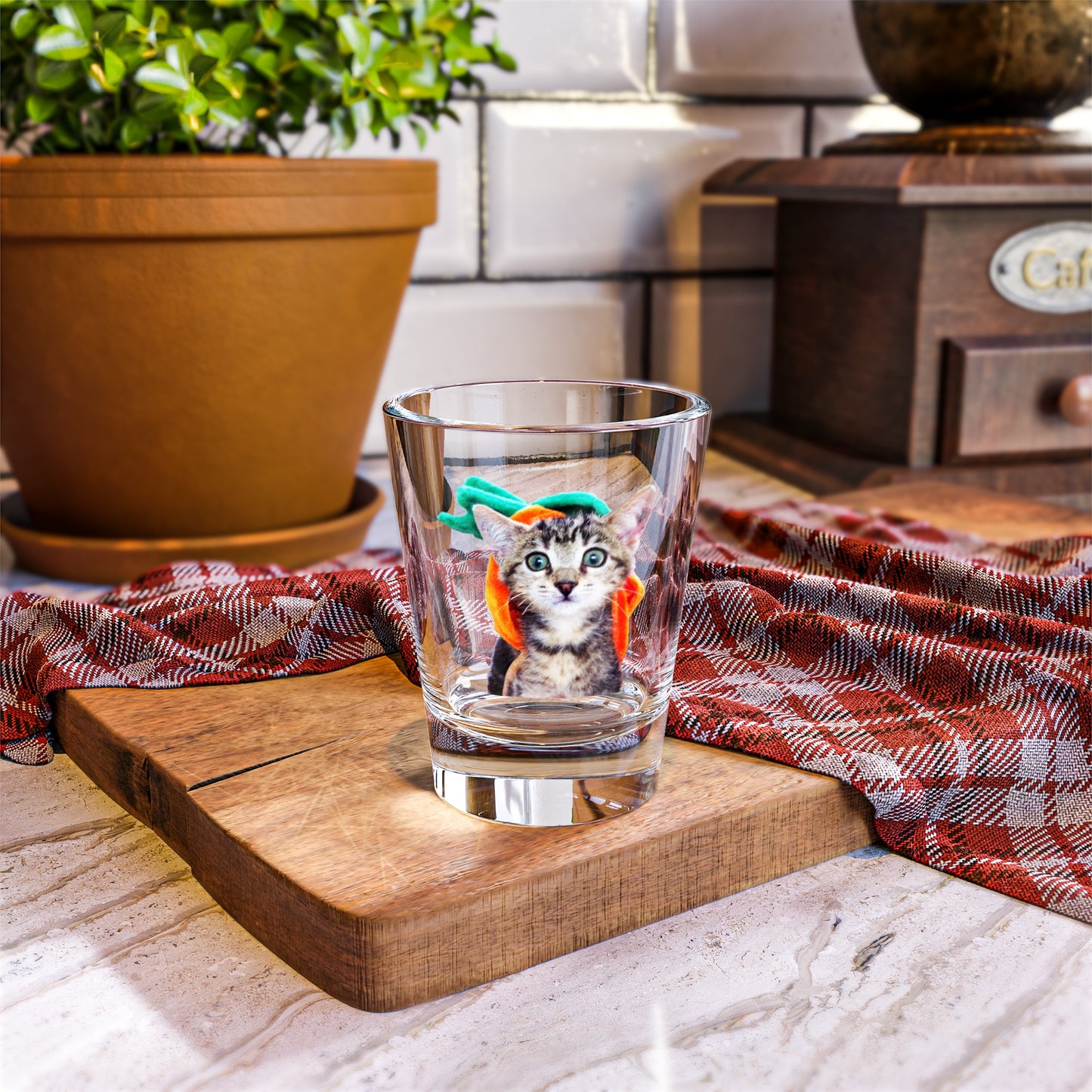 Limited Edition! Pumpkin Head Kitten – Shot Glass