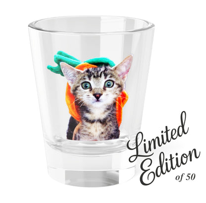 Limited Edition! Pumpkin Head Kitten – Shot Glass