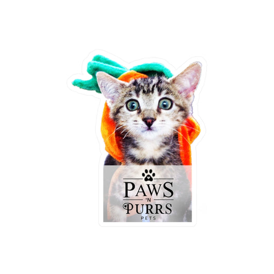 Pumpkin Head Kitten – Paws 'N Purrs Mascot Vinyl Sticker