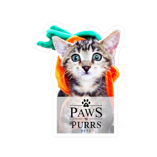 Pumpkin Head Kitten – Paws 'N Purrs Mascot Vinyl Sticker