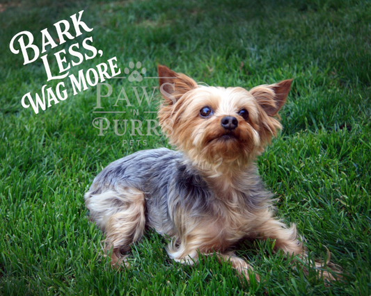 Dog Lovers Digital Download - Photo & Calligraphy Word Art Set (10 Images)