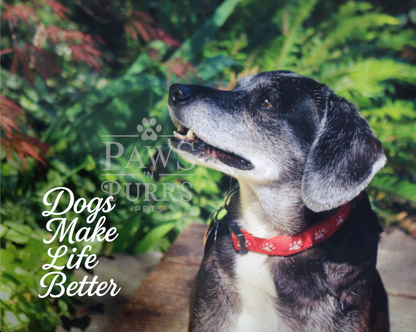 Dog Lovers Digital Download - Photo & Calligraphy Word Art Set (10 Images)