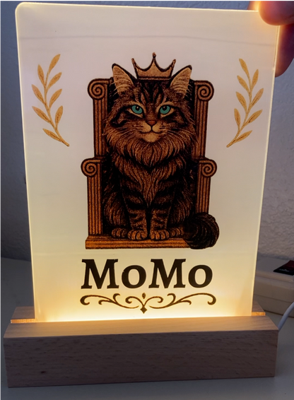 Personalized Pet Photo Nightlight