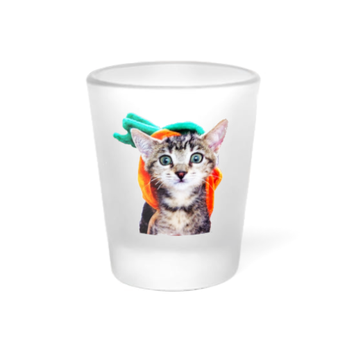Pumpkin Head Kitten - 1.5oz Clear or Frosted Shot Glass