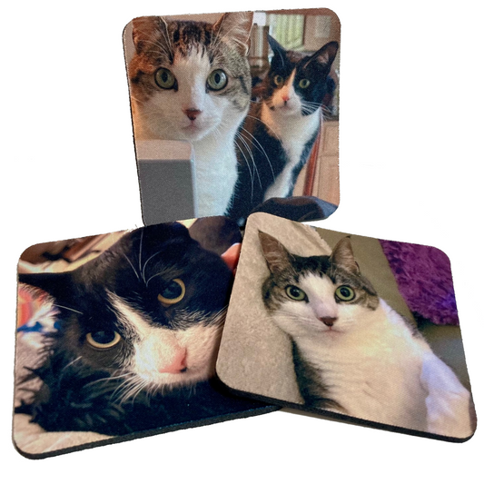 Personalized Pet Photos - Neoprene 4" Coasters