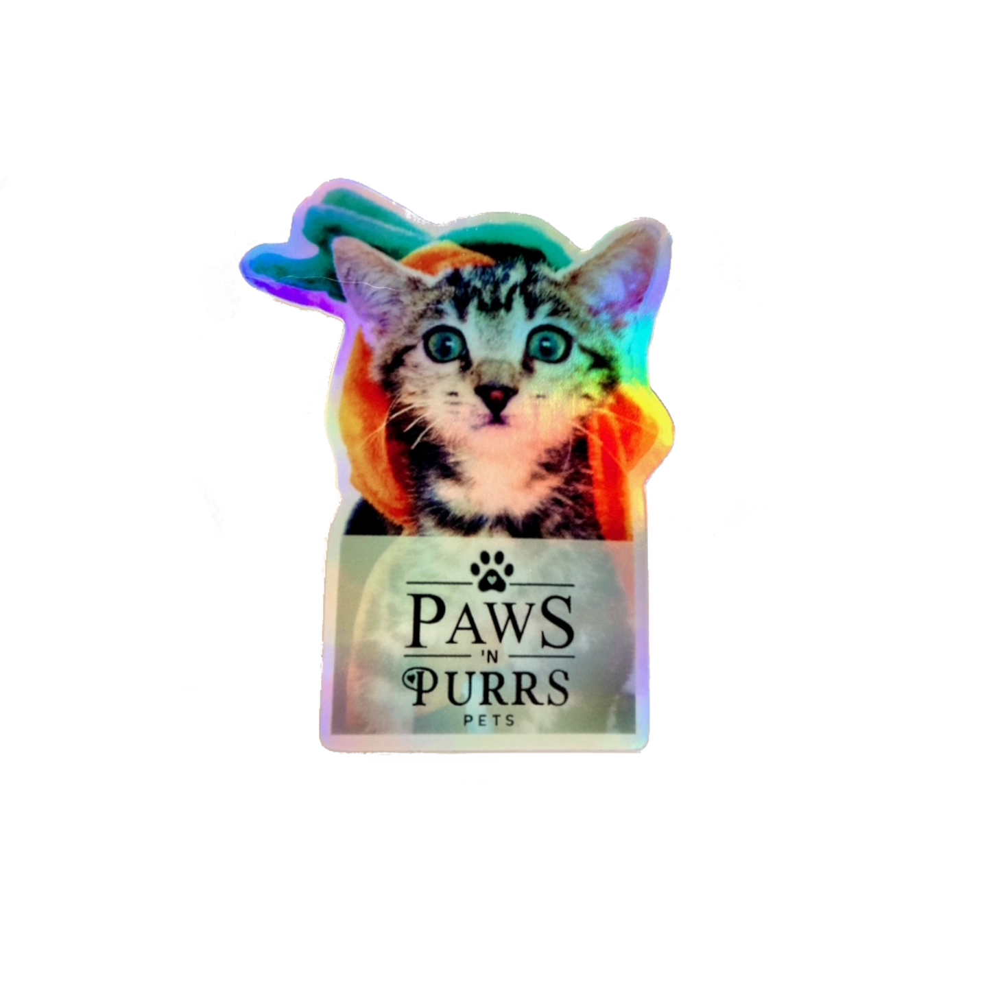 Pumpkin Head Kitten – Paws 'N Purrs PnP Mascot Dawn Vinyl Sticker