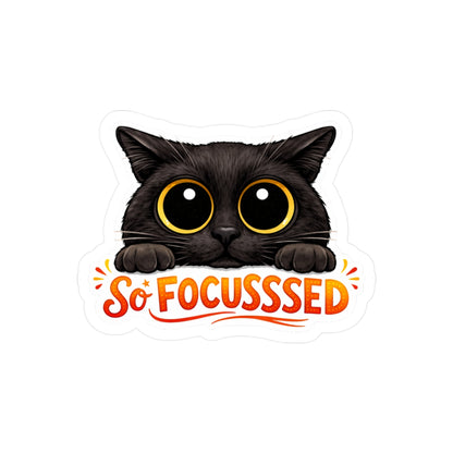 So Focusssed - Black Cat Sticker