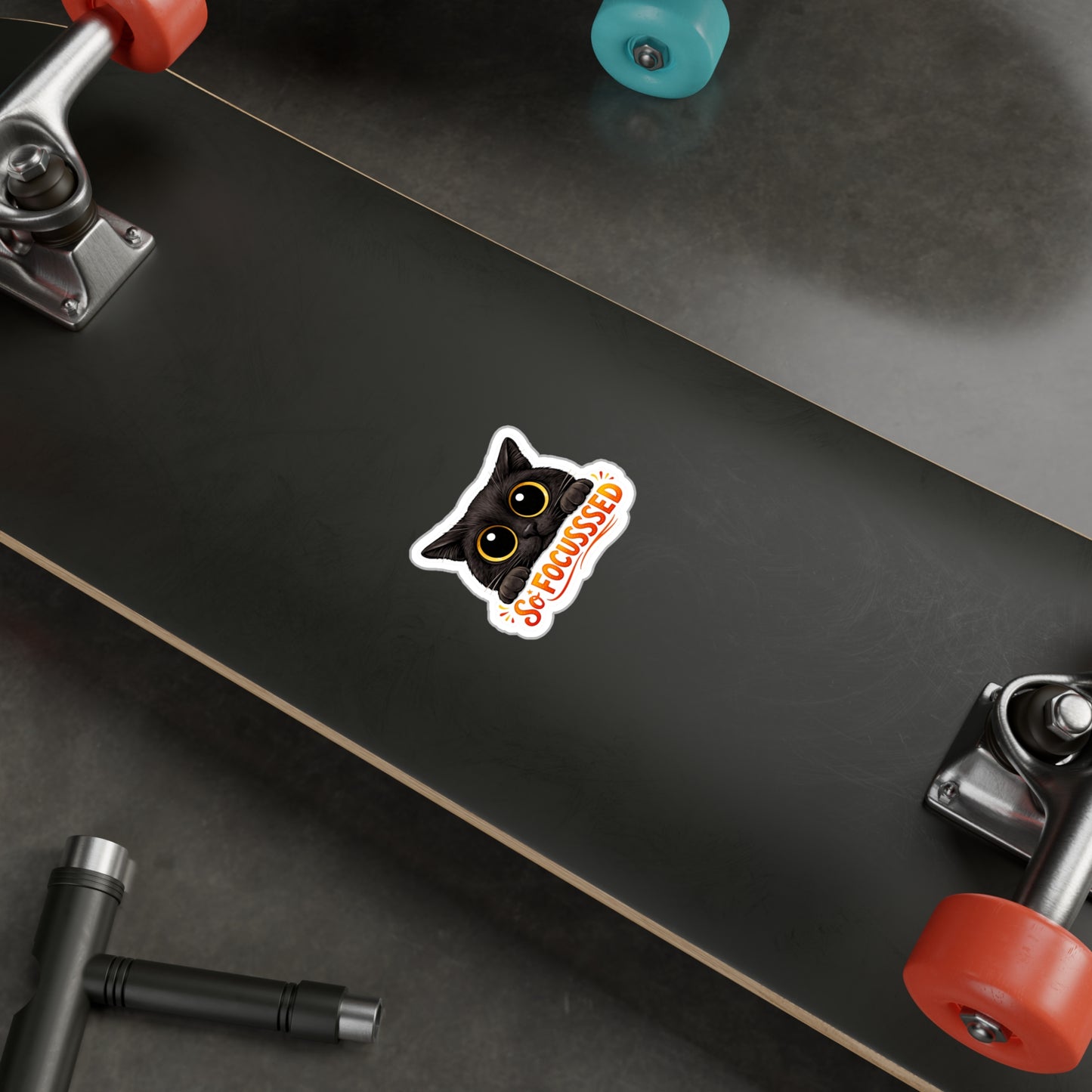 So Focusssed - Black Cat Sticker