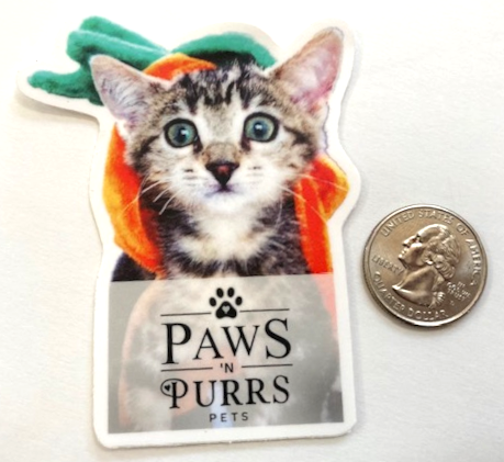 Pumpkin Head Kitten – Paws 'N Purrs Mascot Dawn Vinyl Sticker