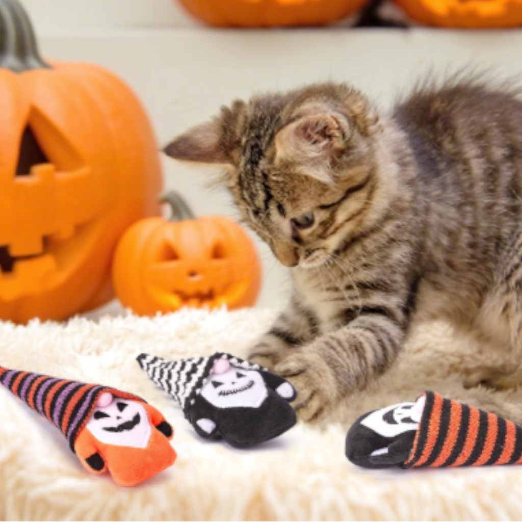 Halloween Gnome - Catnip Cat Toy