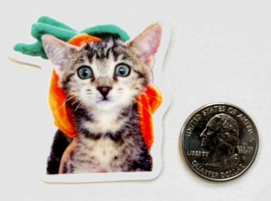 Mini 2" Pumpkin Head Kitten – Paws 'N Purrs Mascot Dawn Vinyl Sticker