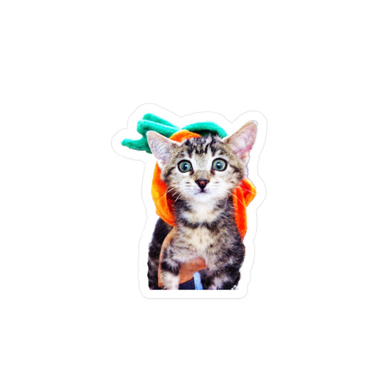 Mini 2" Pumpkin Head Kitten – Paws 'N Purrs Mascot Dawn Vinyl Sticker