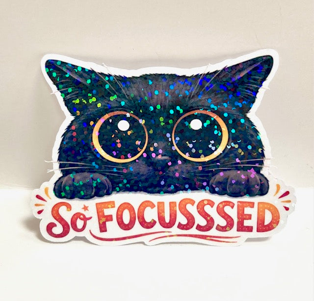 So Focusssed - Black Cat Sticker