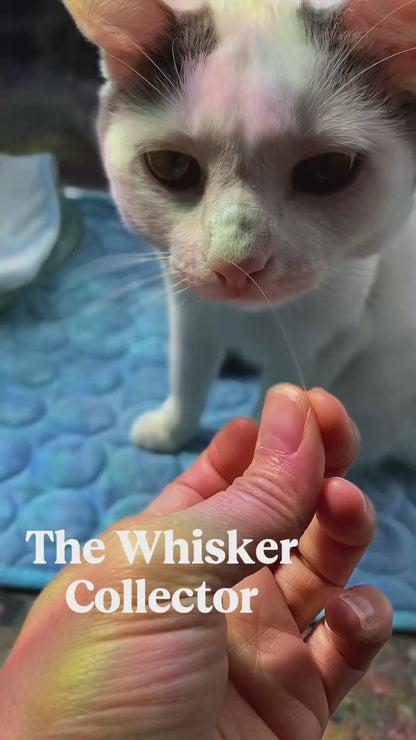 Paws N Purrs Apothecary - Keepsake Glass Vials