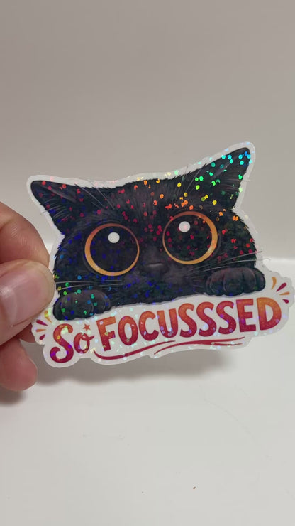 So Focusssed - Black Cat Sticker